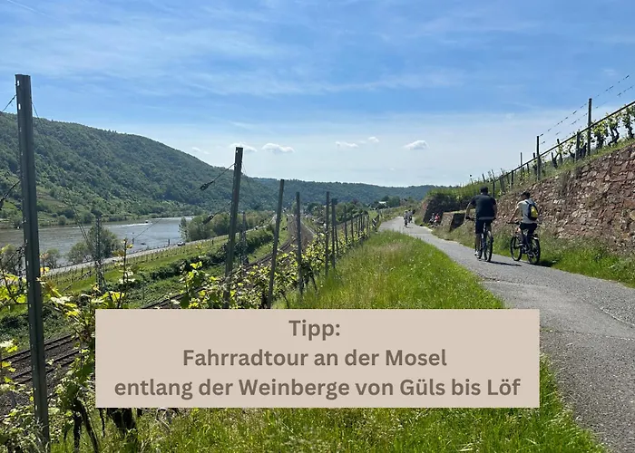 Special Apartment - Stadtnah, Balkon, Parkplatz, E-Ladestation, Gitterbox Fuer Fahrraeder, Fitnessstudio
