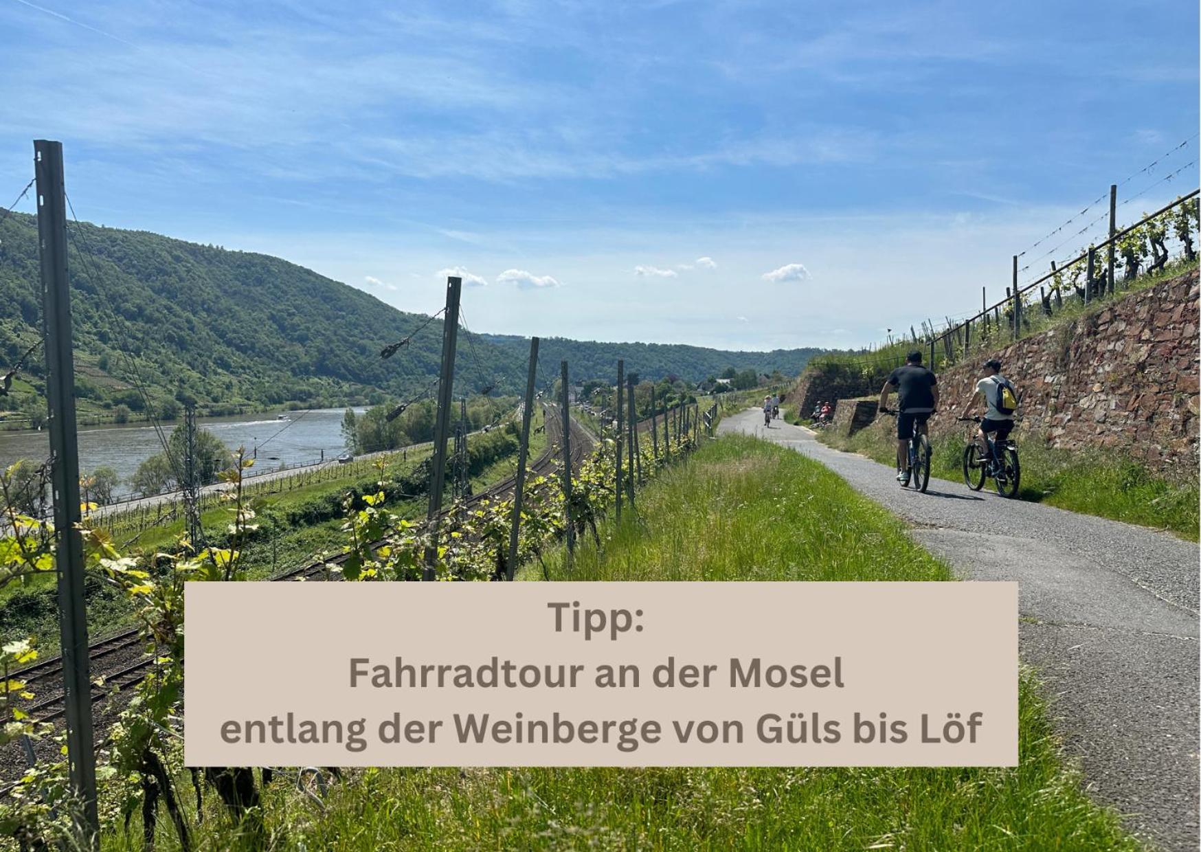 Special - Stadtnah, Balkon, Parkplatz, E-ladestation, Gitterbox Fuer Fahrraeder, Fitnessstudio * Koblenz (Rhineland-Palatinate)